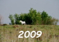 2009r