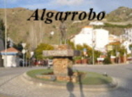 Algarobo