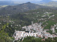 tolox 18 (1)